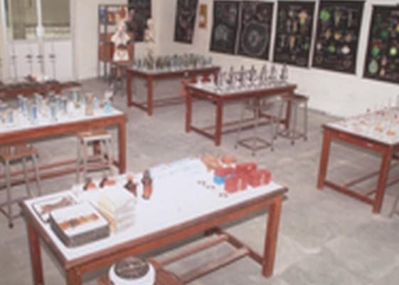 Sri Venkateswara College of Education Pondicherry Campus photo 4